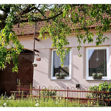 Ubytovani U Trati Hotel Moravská Nová Ves Zewnętrze zdjęcie
